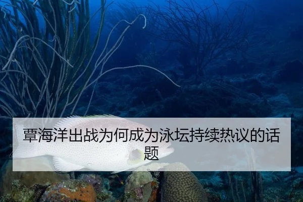 覃海洋出战为何成为泳坛持续热议的话题